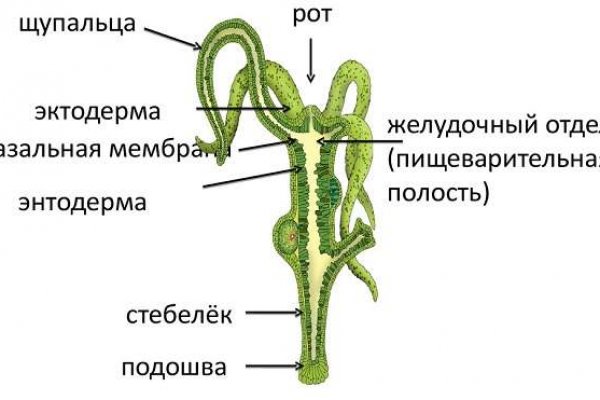 Кракен площадка нарко