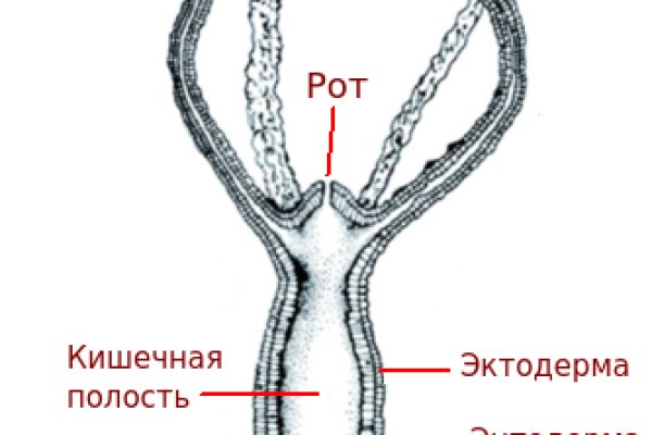 Kraken 2 зеркало