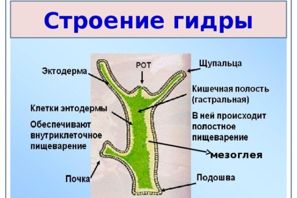 Кракен даркнет вход